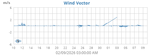 Wind Vector