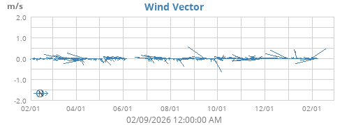 Wind Vector